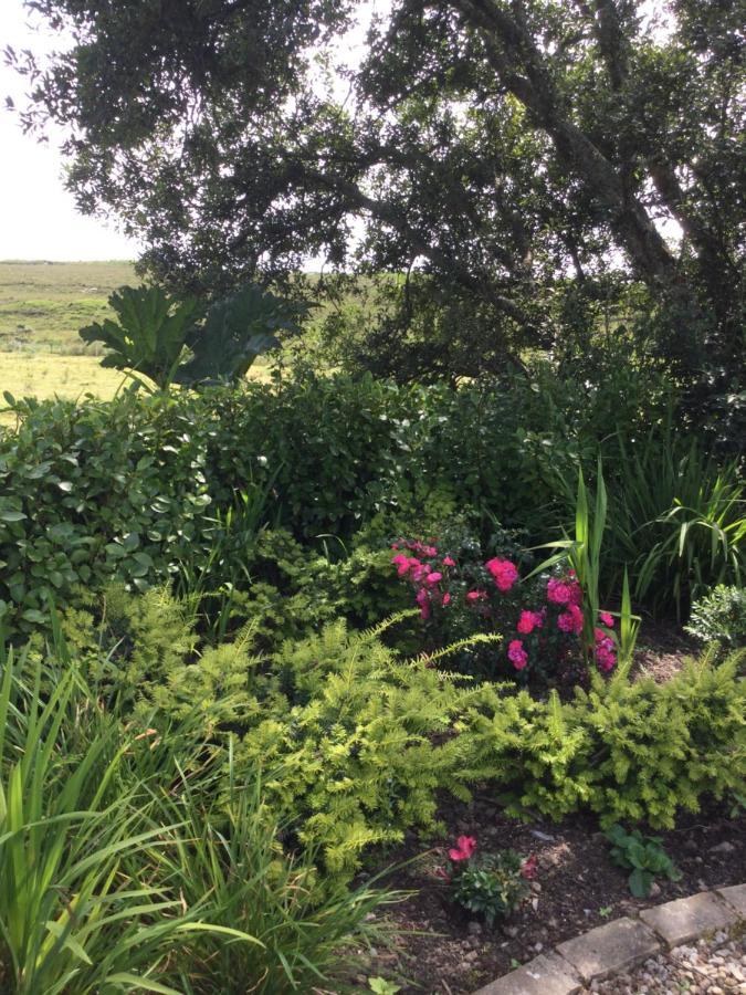 Tullybeggs B&B Clifden Exteriör bild